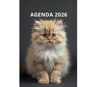 AGENDA 2026 - CHAT: Petit format de poche | 4 langues | Janvier à Décembre 2026 | 52 semaines | 1 semaine sur 2 pages | Format pratique 10x15 cm, 115 pages | Fantaisie, original | Cadeau à offrir