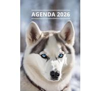 AGENDA 2026 - CHIEN: Petit format de poche | 4 langues | Janvier à Décembre 2026 | 52 semaines | 1 semaine sur 2 pages | Format pratique 10x15 cm, 115 pages | Fantaisie, original | Cadeau à offrir