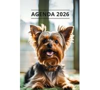 AGENDA 2026 - CHIEN: Petit format de poche | 4 langues | Janvier à Décembre 2026 | 52 semaines | 1 semaine sur 2 pages | Format pratique 10x15 cm, 115 pages | Fantaisie, original | Cadeau à offrir
