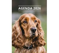 AGENDA 2026 - CHIEN: Petit format de poche | 4 langues | Janvier à Décembre 2026 | 52 semaines | 1 semaine sur 2 pages | Format pratique 10x15 cm, 115 pages | Fantaisie, original | Cadeau à offrir