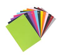 Agenda 2026, formato A4, una pagina per giorno, con copertina rigida, anno intero, calendario giornaliero (A4, un giorno per pagina, lime)