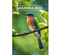 AGENDA 2026 - OISEAUX: Petit format de poche | 4 langues | Janvier à Décembre 2026 | 52 semaines | 1 semaine sur 2 pages | Format pratique 10x15 cm, 115 pages | Fantaisie, original | Cadeau à offrir