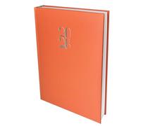 Agenda Giornaliera 2026 A5 15x21 cm - 1 giorno per pagina (sabato e domenica insieme) - 320 pagine - Copertina rigida imbottita similpelle - Rilegatura filo - Made in Italy - TEKSHOPPING (ARANCIONE)