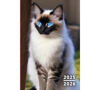 Agenda Scolaire 2025 2026 Chat: 1 Jour par page, carnet organiseur journalier étudiant primaire collège lycée - Garçon et Fille