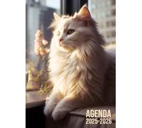 Agenda Scolaire 2025 2026: Magnifique Chat | Bi-journalier (deux jours par page) | 12x17 cm | Format A5 | Sept 2025 - juil 2026 | Animaux mignons | Primaire & collège | Ado fille | School planner