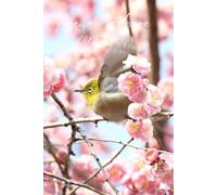 AGENDA SCOLAIRE 2025-2026 OISEAU: Pour les amoureux des animaux| 219 pages : 2 jours par page avec citations motivantes