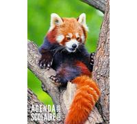 Agenda Scolaire 2025 2026: Panda Rouge - Semainier Pour Filles, Garçons, Étudiants, Primaire, Collège et Lycée | De Septembre 2025 à Août 2026