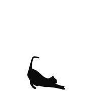 Agenda Tapa Dura Linea Gato: Libreta o Cuaderno en blanco, 130 paginas de lineas
