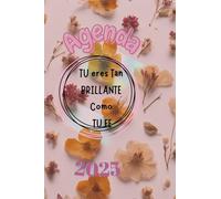 Agenda Tu Eres Tan Brillante como Tu Fe: Te ayudara a mantener mejor tus objetivos