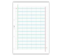 Agendepoint.it Ricambi didattico per la dislessia e disgrafia RINFORZATI 40 fogli da 100gr A4 con 4 fori Per Carpette Ad Anelli