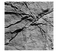 Agf & Various - Arachnesound