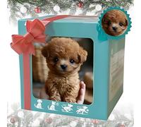 Aggiornamento 2026 Cucciolo Robot Realistico, Animale Domestico Robot Interattivo, Che Si Comporta Come Un Vero Cucciolo: Cammina, Abbaia, Scodinzola, Si Siede E Corre d