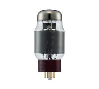 Aggiornamento del tubo a vuoto KT88 6550 KT120 EL34 KT66 KT77 KT100 Valvola audio Tubo elettronico Quad(2pcs Matched Pair)