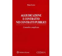 Aggiudicazione e contratto nei contratti pubblici - 2020 - CEDAM