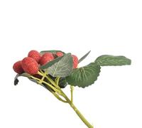 Aggiungi un look fresco con Longan, litchi, mirtillo e ciliegie artificiali (H)