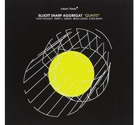 Aggregat Elliott Sharp - Quintet