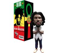Aggronautix Throbblehead HR Dei Bad Brains Figura 05997