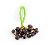 Agitatore a grappolo di