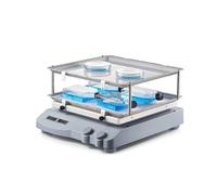 Agitatore automatico, Double LCDs Digital Display Orbital Shaker Incubator Horizontal Swing 100-500rpm Adjustable Speed Lab