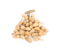 Agitatore di semi naturale onestamente fatto