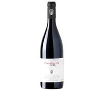 Aglianico Cilento DOP "Primalaterra" 2019 - Salvatore Magnoni