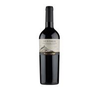 Aglianico del Vulture 'Synthesi' Paternoster 2021