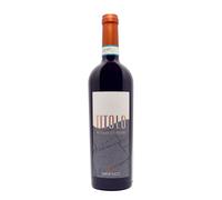 Aglianico del Vulture 'Titolo' Elena Fucci 2020