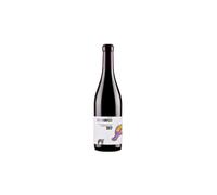 AGLIANICO GILLO DORFLES IGT 2017 CL.75 SAN SALVATORE CILENTO