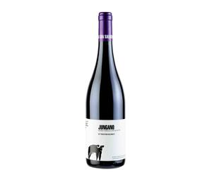 Aglianico 'Jungano' San Salvatore 2021