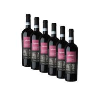 Aglianico Sannio DOP | Cantina di Solopaca | Vino Rosso della Campania | 6 Bottiglie 75Cl | Offerta