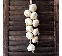 Aglio artificiale e cipolla finta, decorazione per cibo, per cucina, casa, ufficio, feste e patio, frutta finta in plastica (2#)