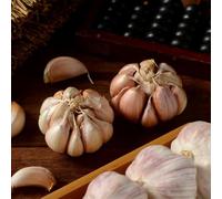 aglio,balcone con vasi per Aiuole rialzate per il giardino semi di giardino propagazione dei semi biologici decorazioni 450semi