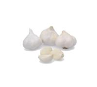 Aglio Binaco da Semina 1 kg - Bulbi Selezionati ad Alta Resa e Germinazione Garantita - Facile Coltivazione per Orto Domestico e Coltivazioni Biologiche - Con Guida alla Semina e Assistenza Agronomica