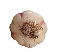Aglio in Marmo Dipinto a Mano Scultura da Tavolo Home Decor Interior Design