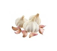 Aglio Rosso da Semina 1 kg - Bulbi Selezionati ad Alta Resa e Germinazione Garantita - Facile Coltivazione per Orto Domestico e Coltivazioni Biologiche - Con Guida alla Semina e Assistenza Agronomica