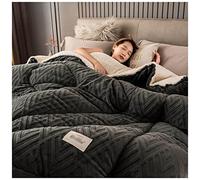 Agnello Cashmere e Velluto Tessuto di Lana Caldo Inverno Trapunta, Addensare Piumino piumone Coperta Matrimoniale Queen Size Singola Doppia Cashmere Trapunta, Lavabile in Lavatrice,C,220x240cm(5kg)