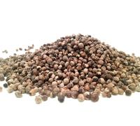 Agnocasto In Frutti Essiccati Da 100 G