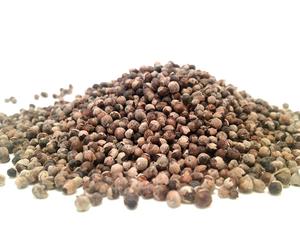 Agnocasto In Frutti Essiccati Da 100 G