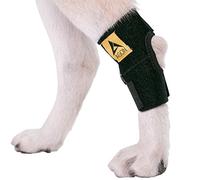 AGON® Fascia a Compressione per Cani e Cani, con Cinghie, Protegge Le ferite, previene lesioni e distorsioni, Aiuta a Perdere stabilità causata dall'artrite (Small)