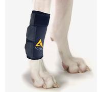 AGON Tutore a Compressione per Zampe Anteriori e Canine, Protegge Le ferite, previene lesioni e distorsioni, Aiuta a Perdere stabilità causata dall'artrite (L/XL)