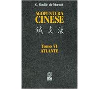 Agopuntura cinese. Atlante (Vol. 6)