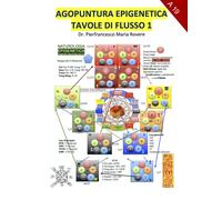 Agopuntura Epigenetica 1: Tavole di Flusso - Dr. Pierfrancesco Maria Rovere-2020