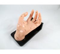 Agopuntura Modello Mano & Stand IT-101 ARTMED