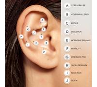 Agopuntura Orecchio Semi Digitopressione Vaccaria Massaggio Terapia Argentato