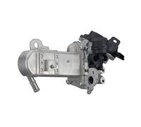 HELLA 6NU 358 167-071 Modulo EGR