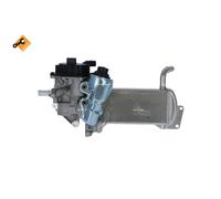 Nrf 48201 Valvola Egr
