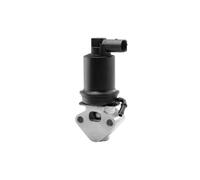 AGR-Valvola Elettrica Con Guarnizioni Wahler 710953R Per VW Golf