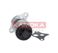 AGR-Valvola KAMOKA 19001 Per Opel Astra G Caravan Corsa B