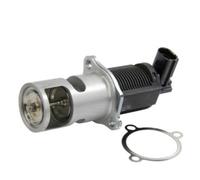 Agr-Ventil Magneti Marelli 571822112009 Per Renault Kangoo Megane Ii Kombi