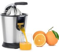 AGR80 Spremiagrumi Elettrico Professionale, 160W, Leva E Filtro in Acciaio Inox,